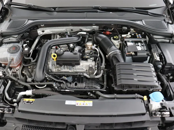 VOLKSWAGEN Golf (2024) — foto 6 van 28