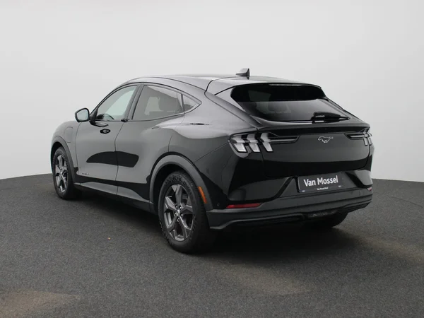 Ford Mustang Mach-E (2021) — foto 12 van 44