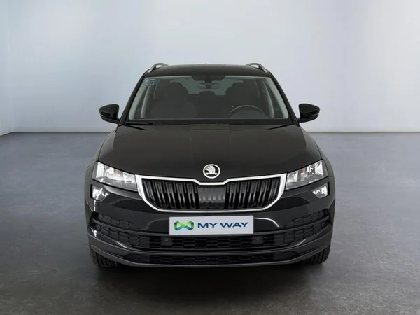 SKODA Karoq (2021) — foto 11 van 17