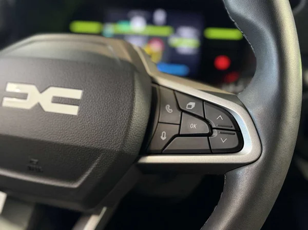 Dacia Duster (2024) — foto 10 van 18