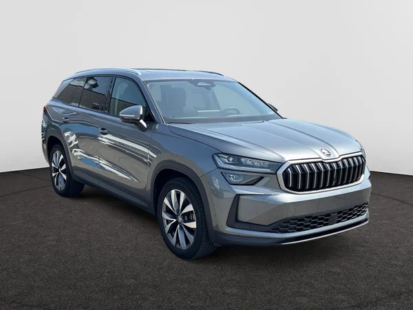 SKODA Kodiaq (2024) — foto 13 van 17