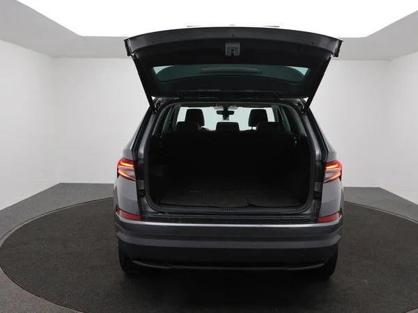 SKODA Kodiaq (2022) — foto 18 van 26