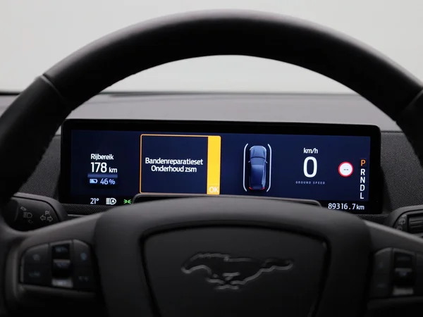 Ford Mustang Mach-E (2021) — foto 42 van 43