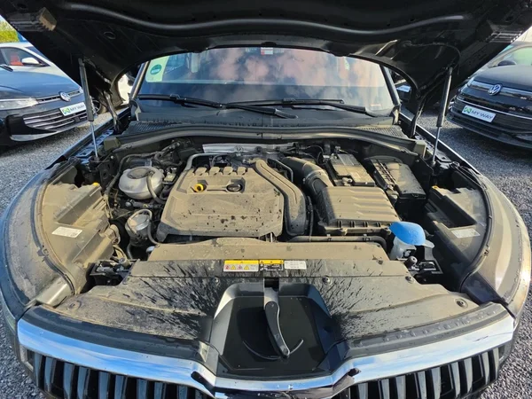 SKODA Kodiaq (2023) — foto 15 van 24