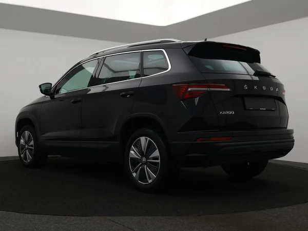 SKODA Karoq (2023) — foto 12 van 33