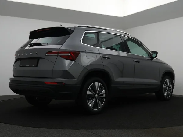 SKODA Karoq (2022) — foto 12 van 28
