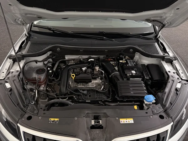 SKODA Karoq (2021) — foto 6 van 26