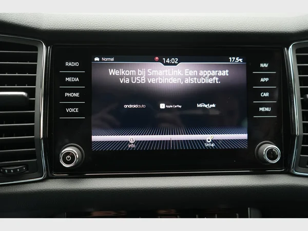 SKODA Kodiaq (2019) — foto 8 van 31