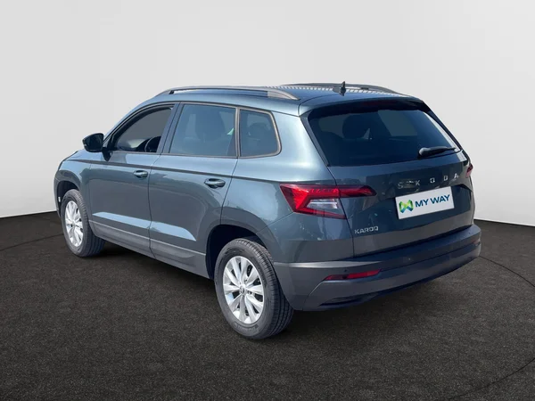 SKODA Karoq (2020) — foto 15 van 21