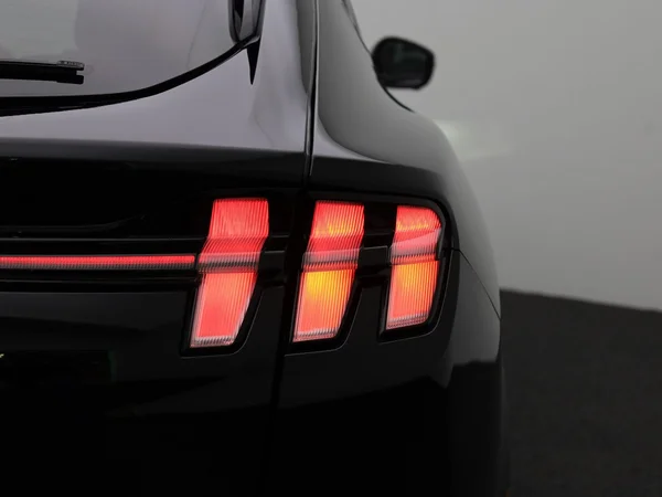 Ford Mustang Mach-E (2021) — foto 47 van 52