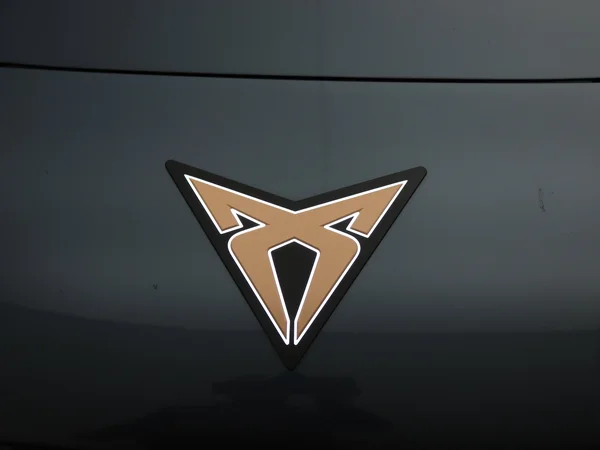 CUPRA Tavascan (2024) — foto 30 van 36