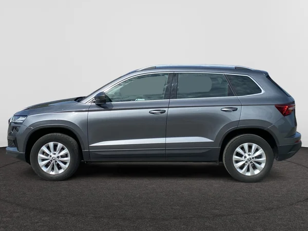 SKODA Karoq (2023) — foto 10 van 17