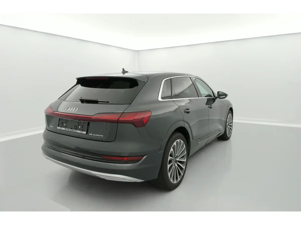 AUDI e-tron (2021) — foto 19 van 30