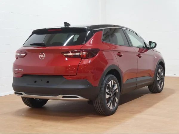 Opel Grandland X (2020) — foto 17 van 20