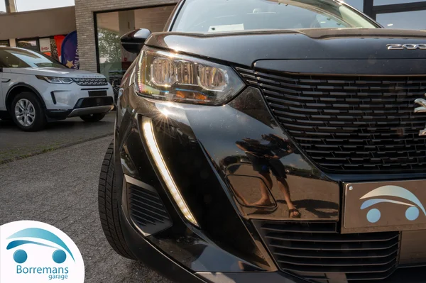 1118_15343_2022-5.webp