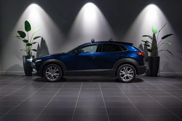 Mazda CX-30 (2022) — foto 34 van 41