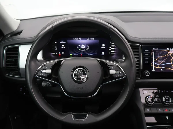 SKODA Kodiaq (2022) — foto 10 van 26