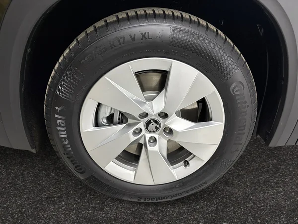 SKODA Kodiaq PHEV (2025) — foto 12 van 14