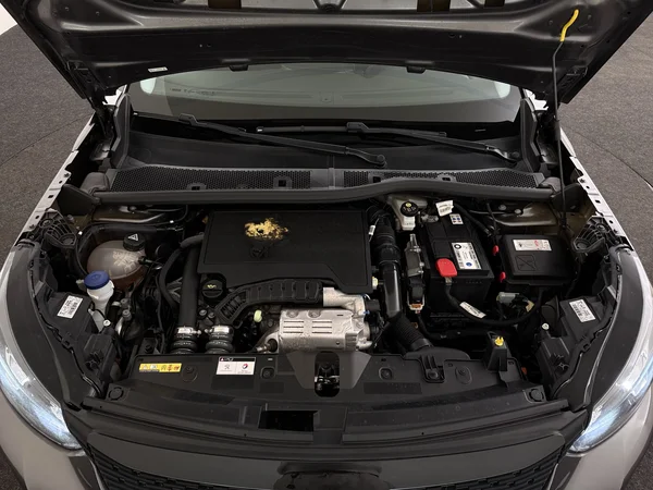 PEUGEOT 2008 (2021) — foto 6 van 26
