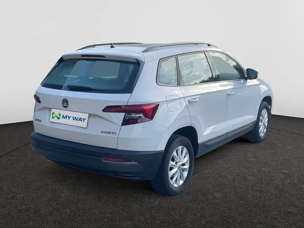 SKODA Karoq (2018) — foto 16 van 21
