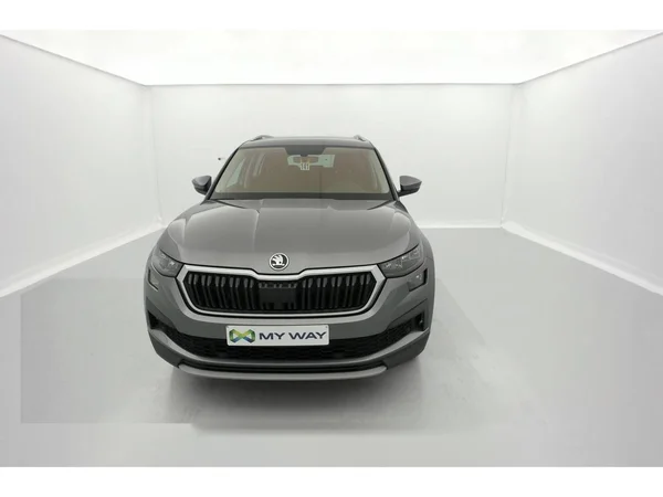 SKODA Kodiaq (2022) — foto 12 van 36