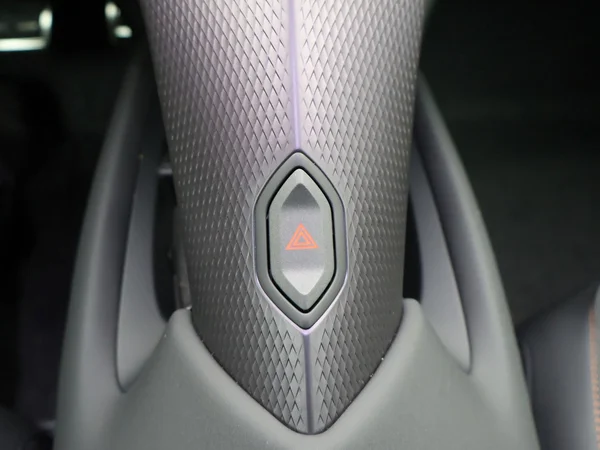 CUPRA Tavascan (2025) — foto 13 van 23