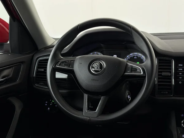 SKODA Kodiaq (2019) — foto 14 van 28