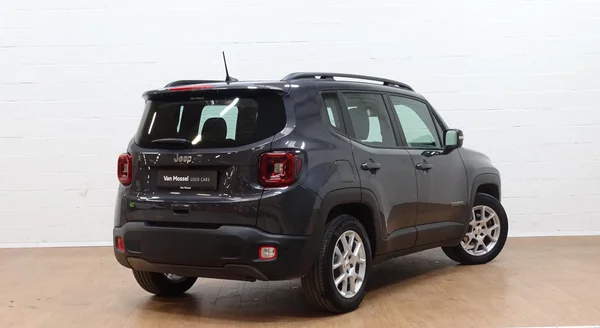 Jeep Renegade (2024) — foto 22 van 27