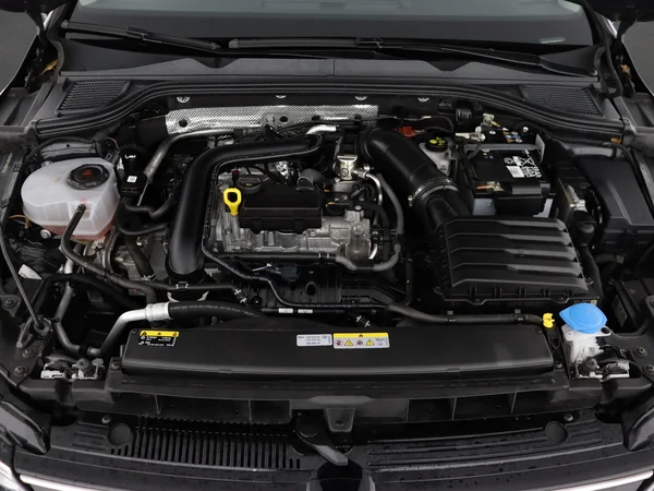 VOLKSWAGEN Golf (2024) — foto 6 van 28