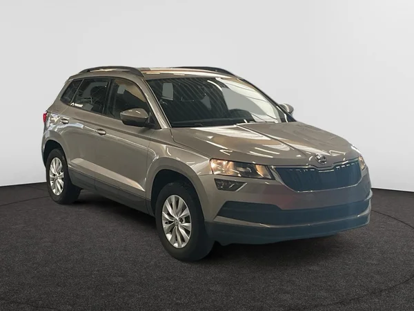 SKODA Karoq Dsl (2019) — foto 20 van 22
