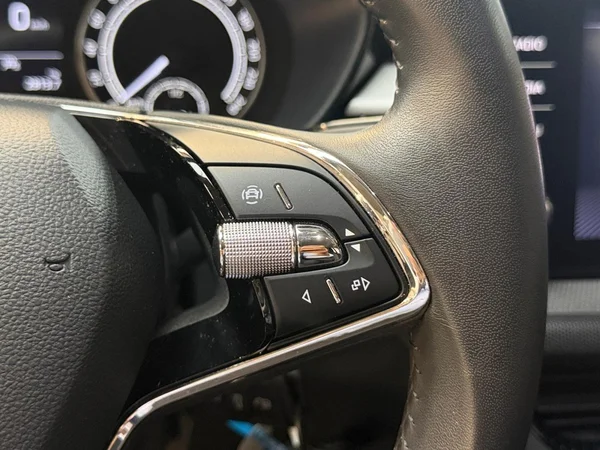SKODA Fabia (2024) — foto 9 van 24