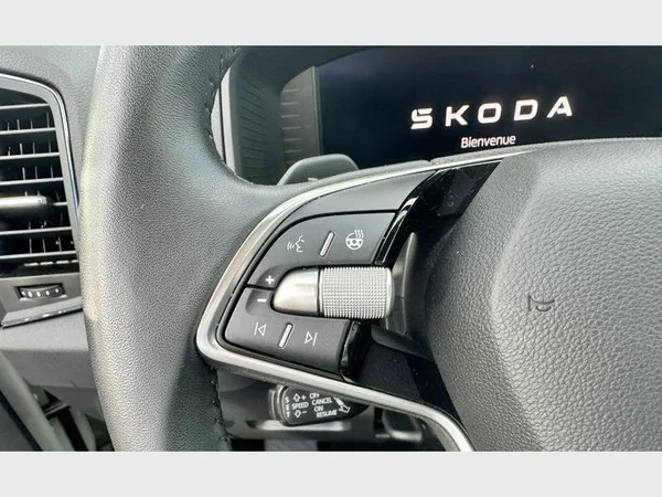 Skoda Karoq (2025) — foto 8 van 30