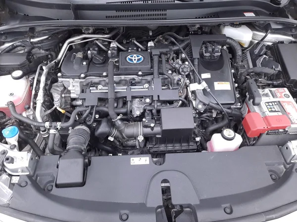 Toyota Corolla SW Hybrid (HEV) (2022) — foto 10 van 26