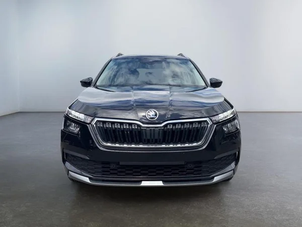 SKODA Kamiq (2022) — foto 28 van 29