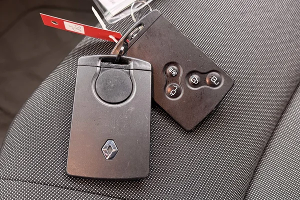 Renault Zoe (2017) — foto 8 van 47