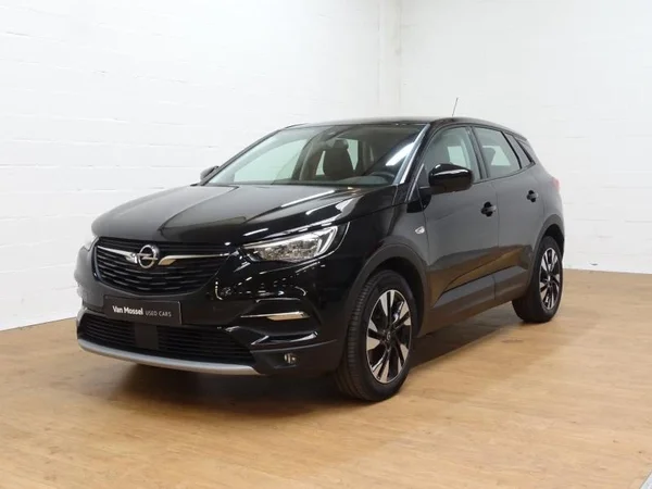 Opel Grandland X (2021) — foto 16 van 21