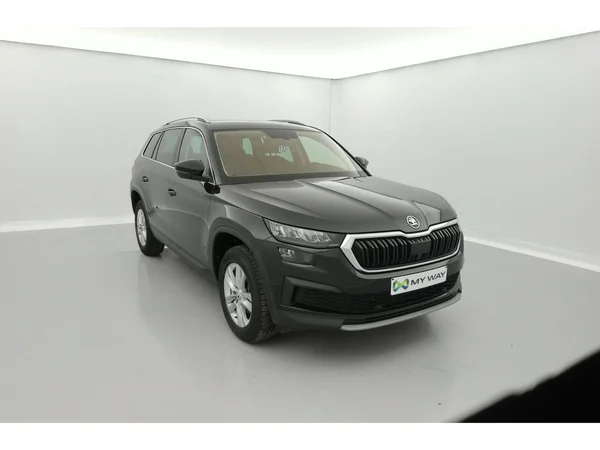 SKODA Kodiaq (2022) — foto 23 van 36