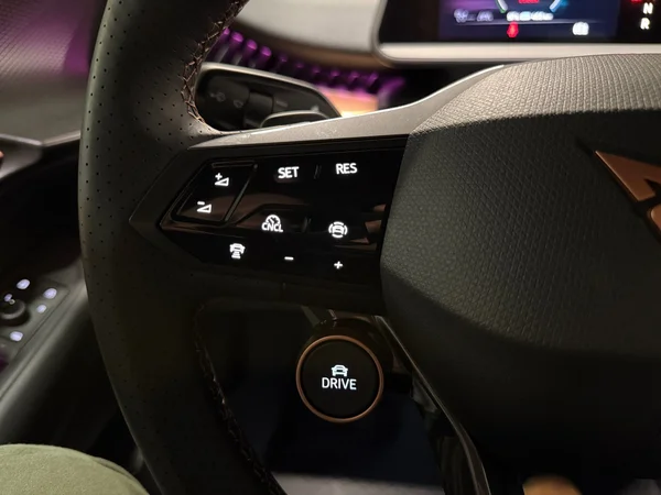 CUPRA Tavascan (2025) — foto 15 van 18