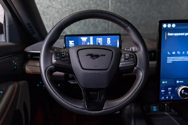 Ford Mustang Mach-E (2024) — foto 9 van 37