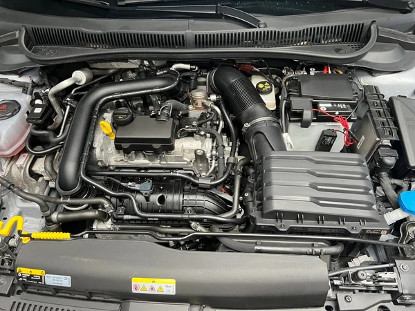 VOLKSWAGEN Polo (2023) — foto 14 van 23