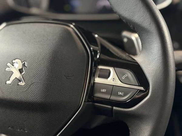 Peugeot 2008 (2022) — foto 6 van 17