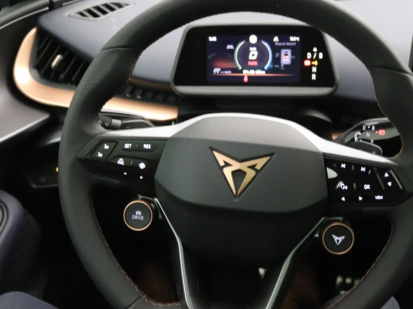 CUPRA Tavascan (2024) — foto 8 van 36