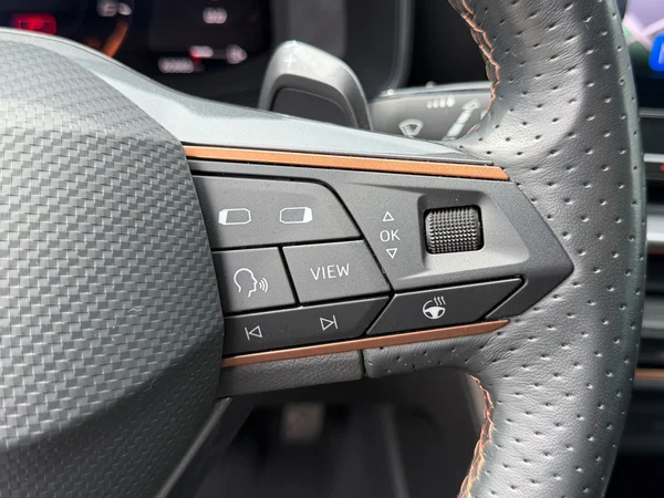 CUPRA Formentor e-Hybrid (PHEV) (2023) — foto 3 van 20