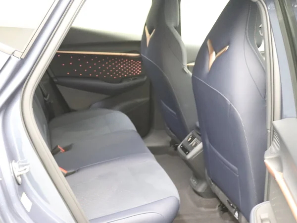 CUPRA Tavascan (2024) — foto 27 van 36