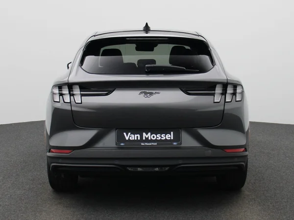 Ford Mustang Mach-E (2021) — foto 41 van 45