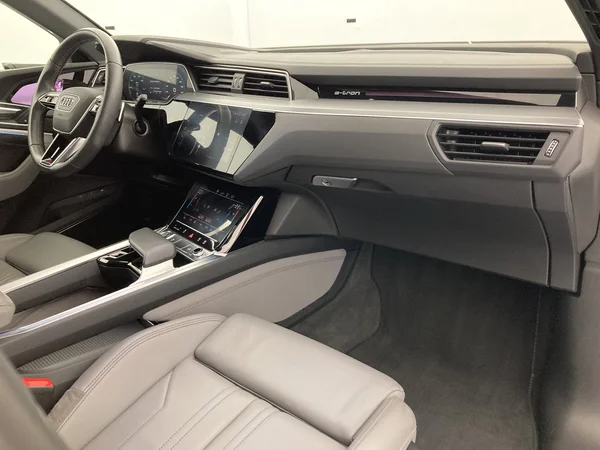 AUDI e-tron (2019) — foto 29 van 31