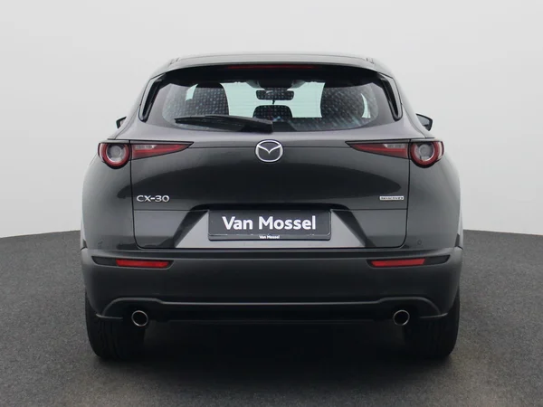 Mazda CX-30 (2020) — foto 38 van 41