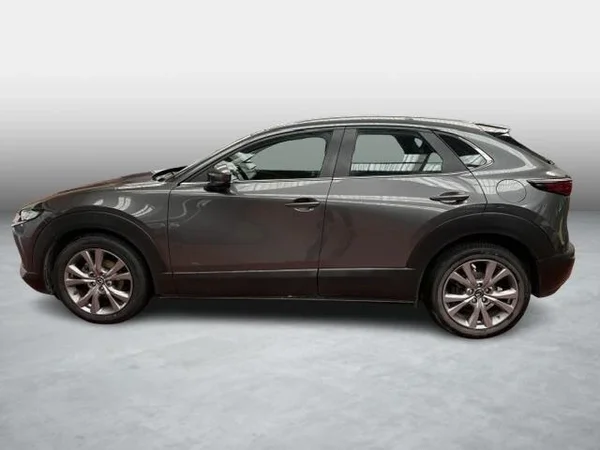 Mazda CX-30 (2019) — foto 14 van 15