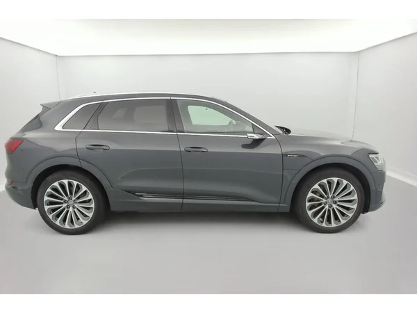 AUDI e-tron (2019) — foto 22 van 31