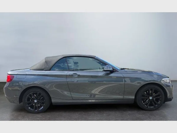 BMW 2 Cabrio (2019) — foto 22 van 24